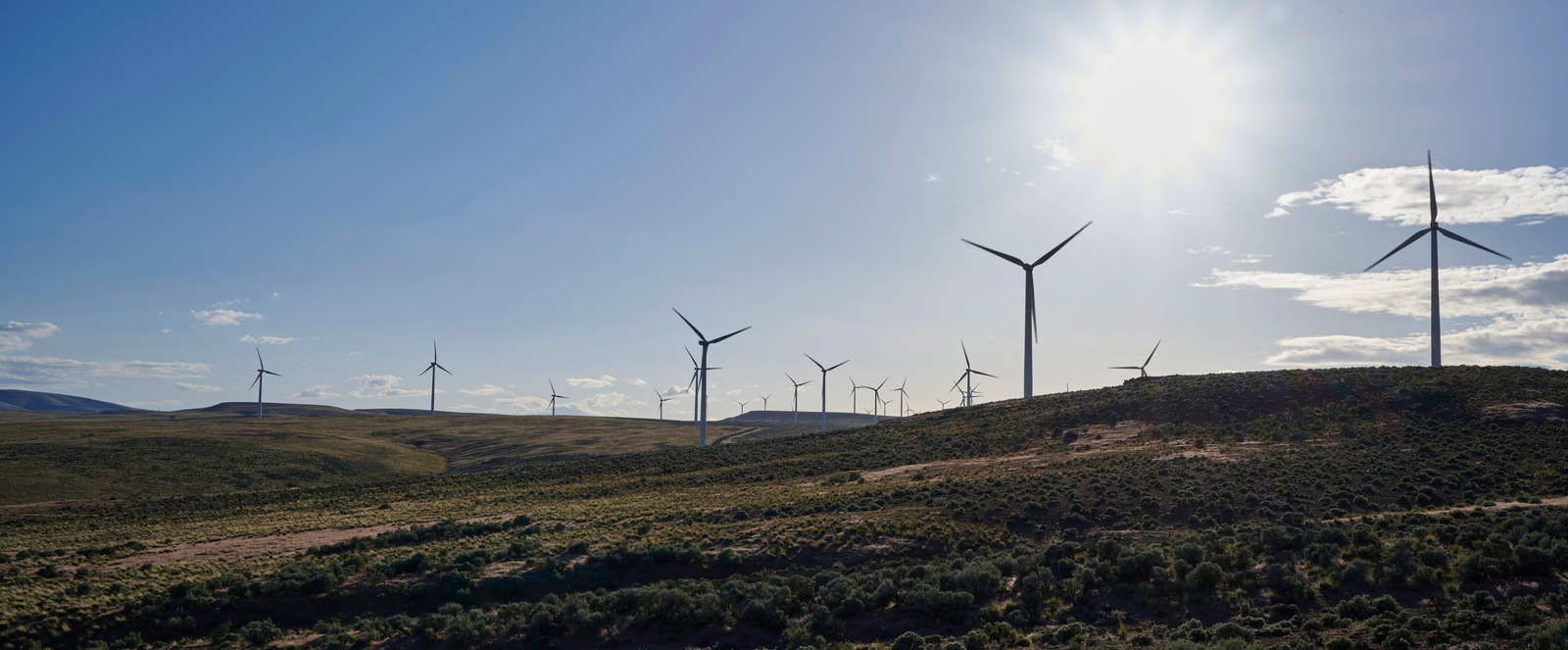 Kittitas Valley Wind Farm
