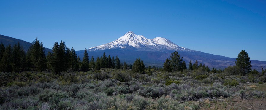 Mount Shasta